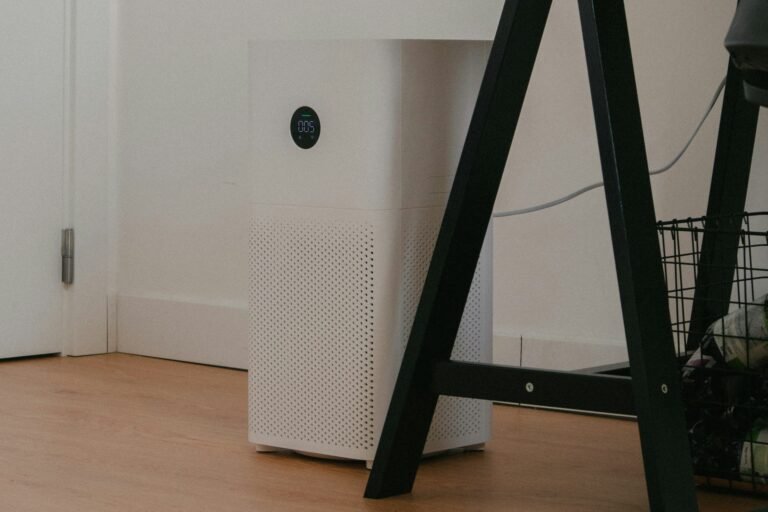 Best Air Purifiers 2025