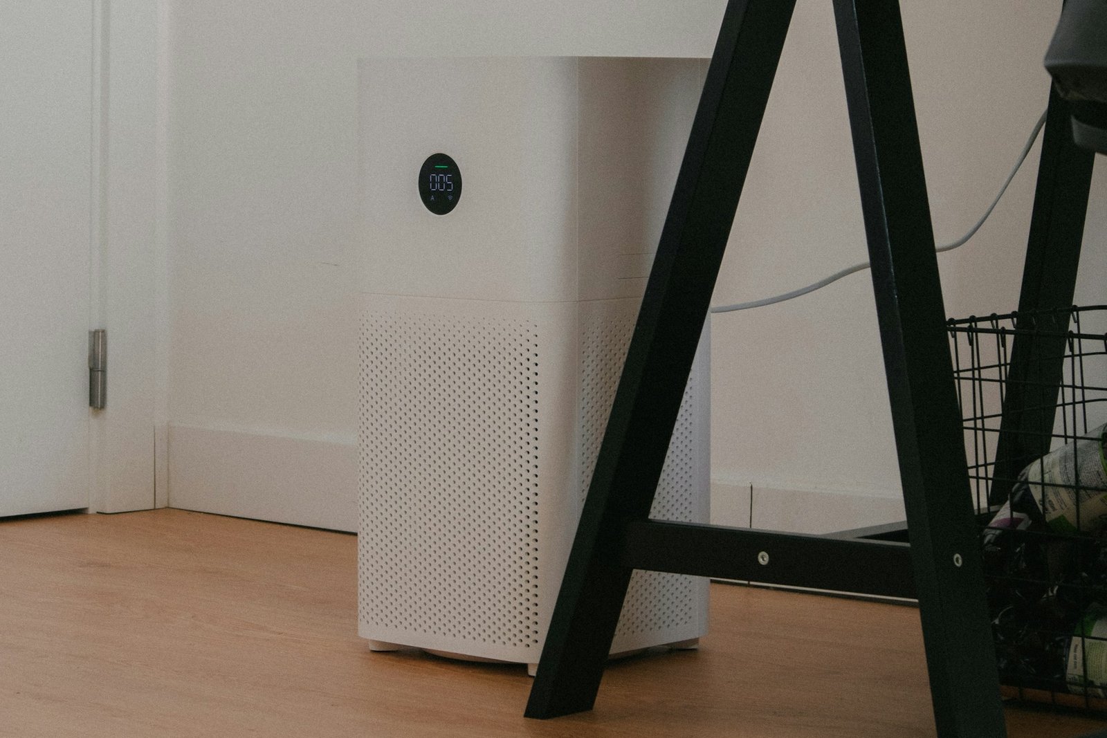 Best Air Purifiers 2025